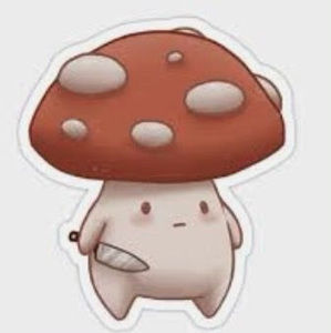 Meet your Posher, Nyx